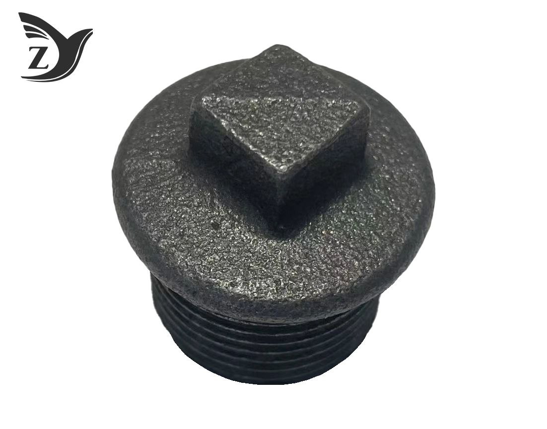 Black Flanged Plug Pipe Fittings 1 Black Flanged Plug Pipe Fittings 1
