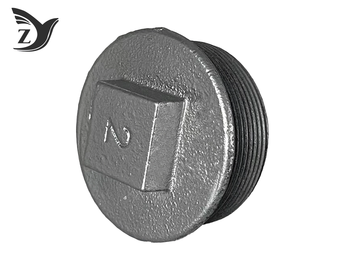 Galvanized Flanged Pipe Plug Pipe Fittings 2 Galvanized Flanged Pipe Plug Pipe Fittings 2