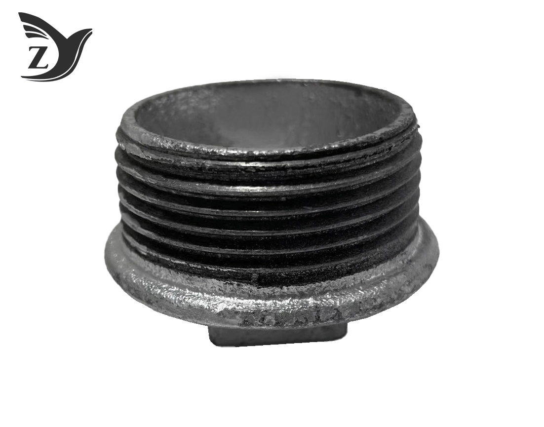 Galvanized Flanged Pipe Plug Pipe Fittings 3