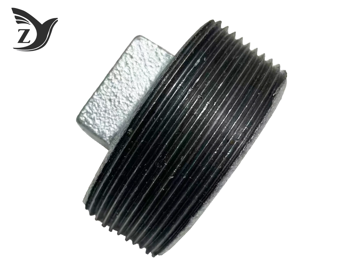 Galvanized Non-Flanged Pipe Plug Pipe Fittings 1