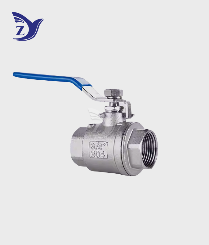 Stainless Steel Valves