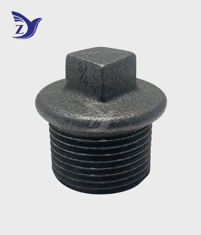 NPT Black Flanged Plug Pipe Fittings